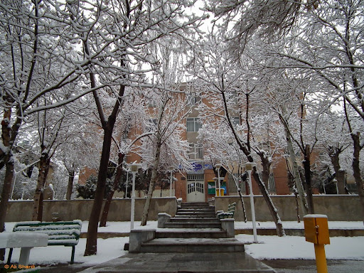 تصویر کوچک