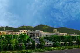 Second Responsive Image